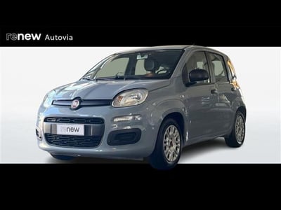 Fiat Panda 1.0 firefly hybrid s&amp;s 70cv 5p.ti del 2021 usata a Belpasso