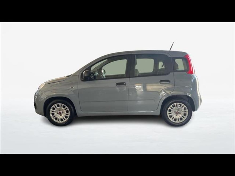 Fiat Panda usata a Catania (3)