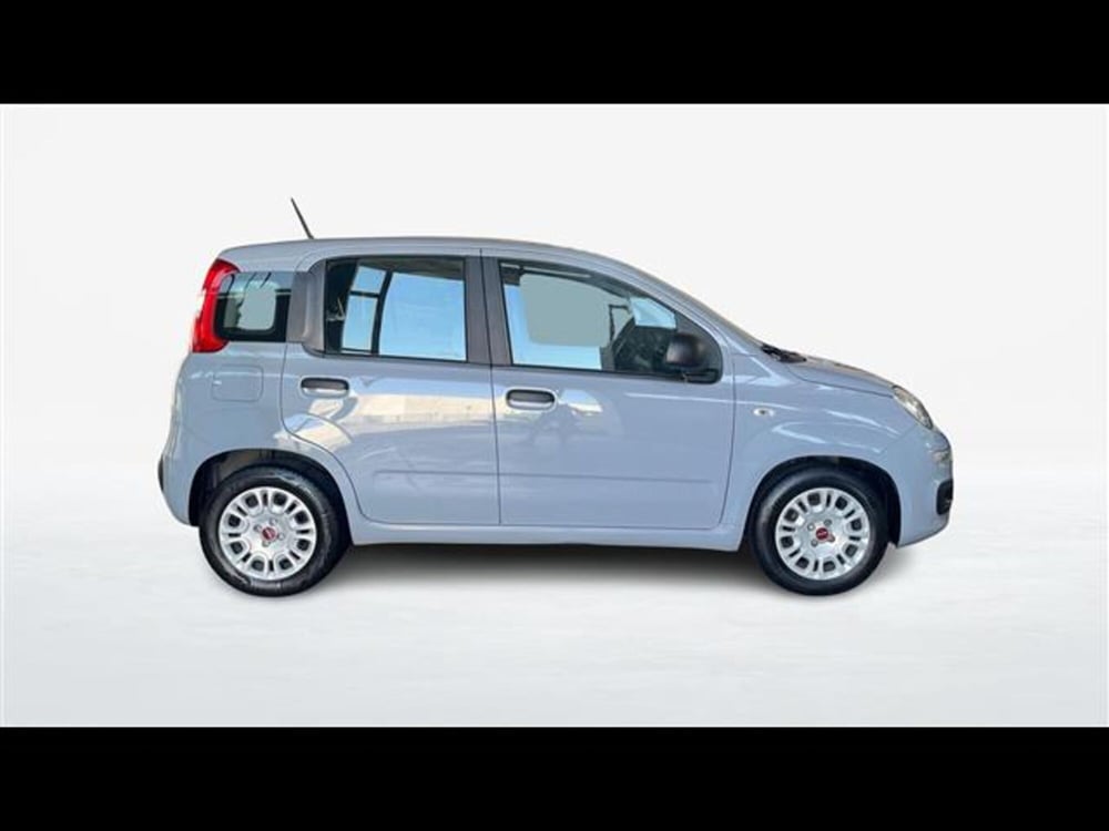 Fiat Panda usata a Catania (4)