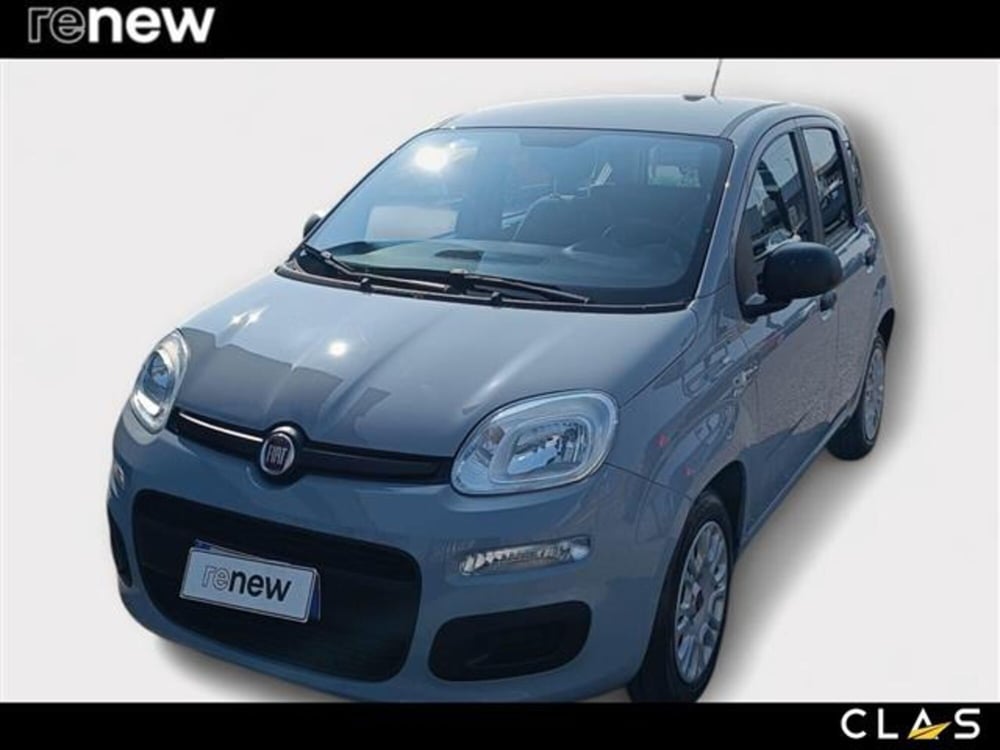 Fiat Panda usata a Livorno