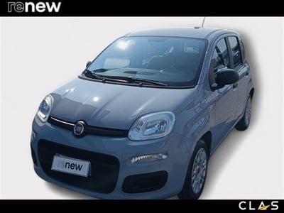 Fiat Panda 1.0 firefly hybrid s&amp;s 70cv 5p.ti del 2022 usata a Livorno