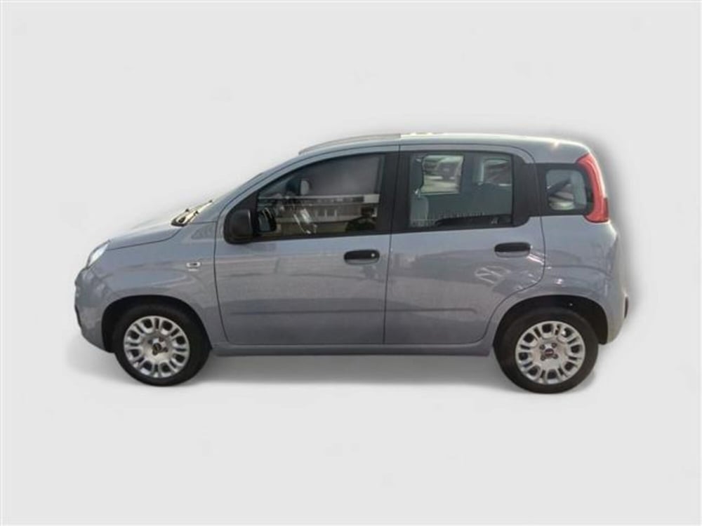 Fiat Panda usata a Livorno (2)