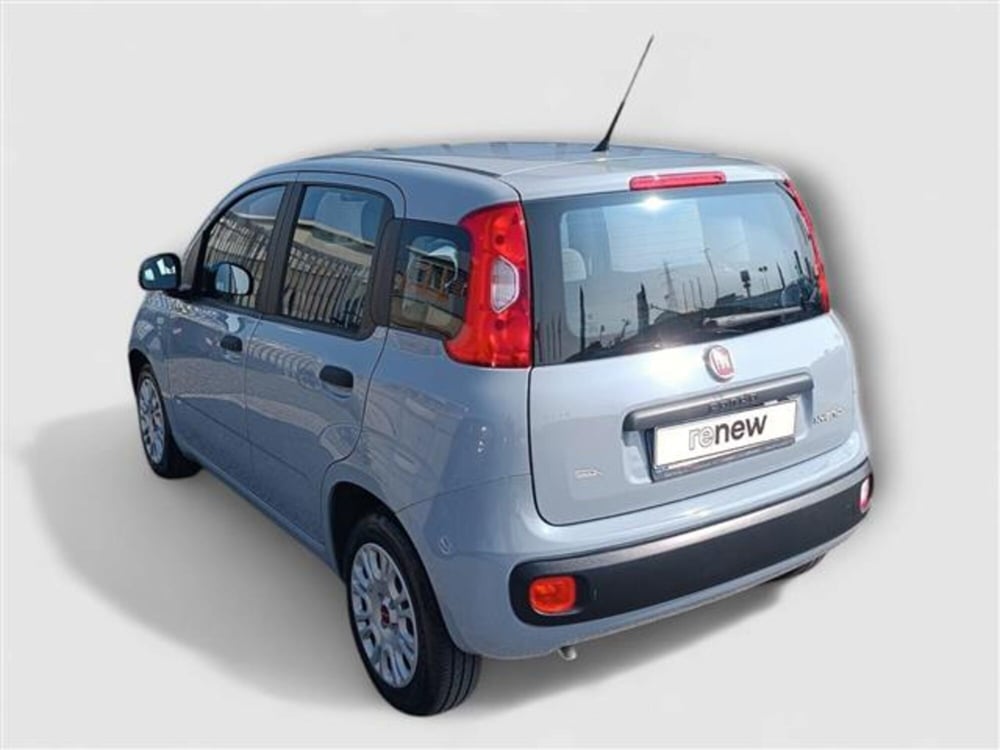 Fiat Panda usata a Livorno (3)