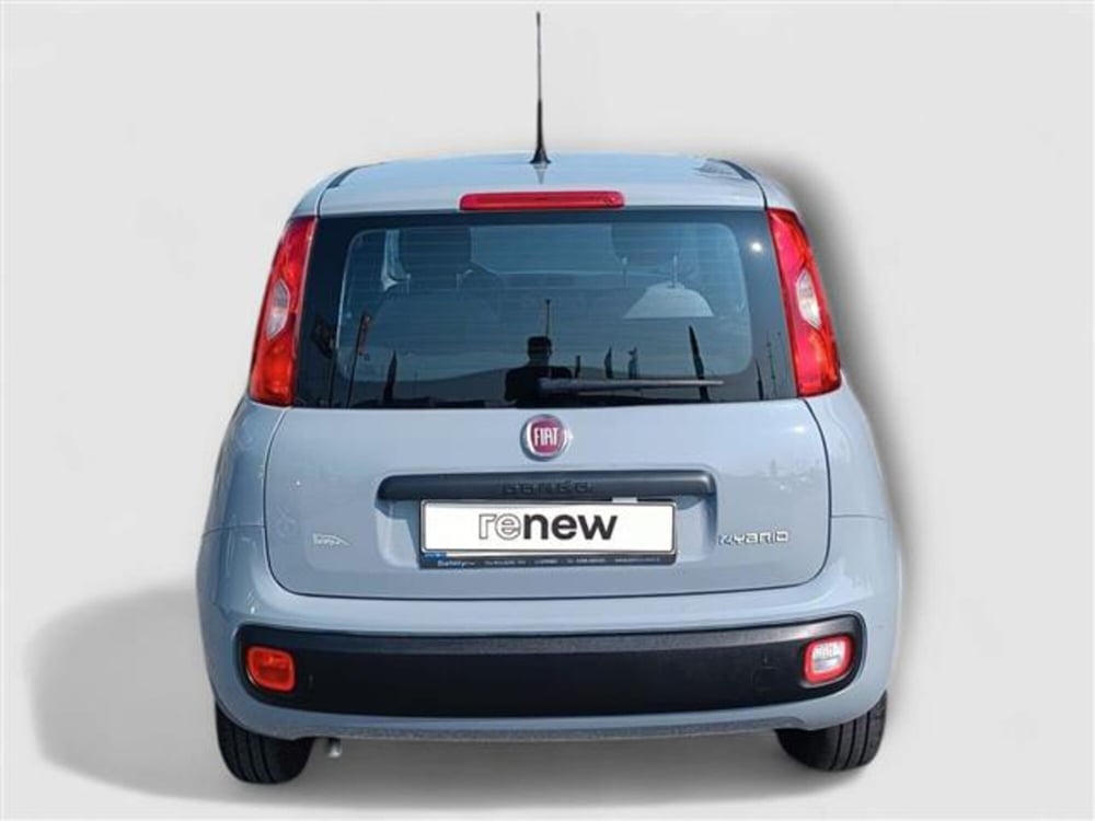 Fiat Panda usata a Livorno (4)