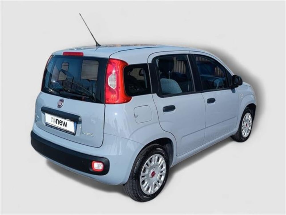 Fiat Panda usata a Livorno (5)