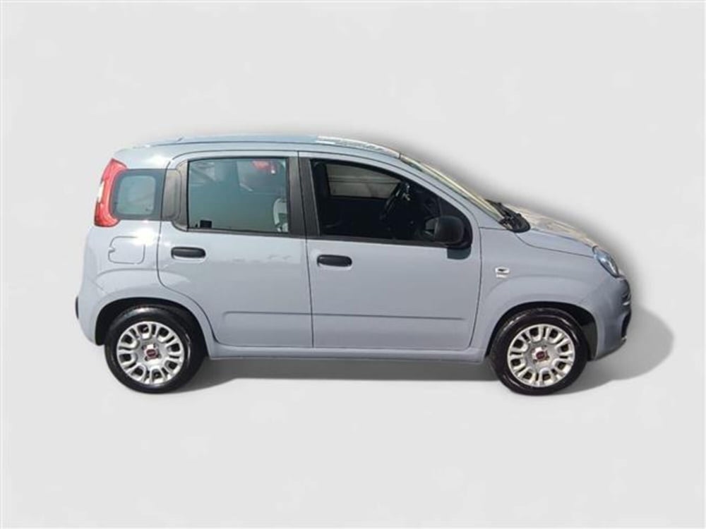 Fiat Panda usata a Livorno (6)