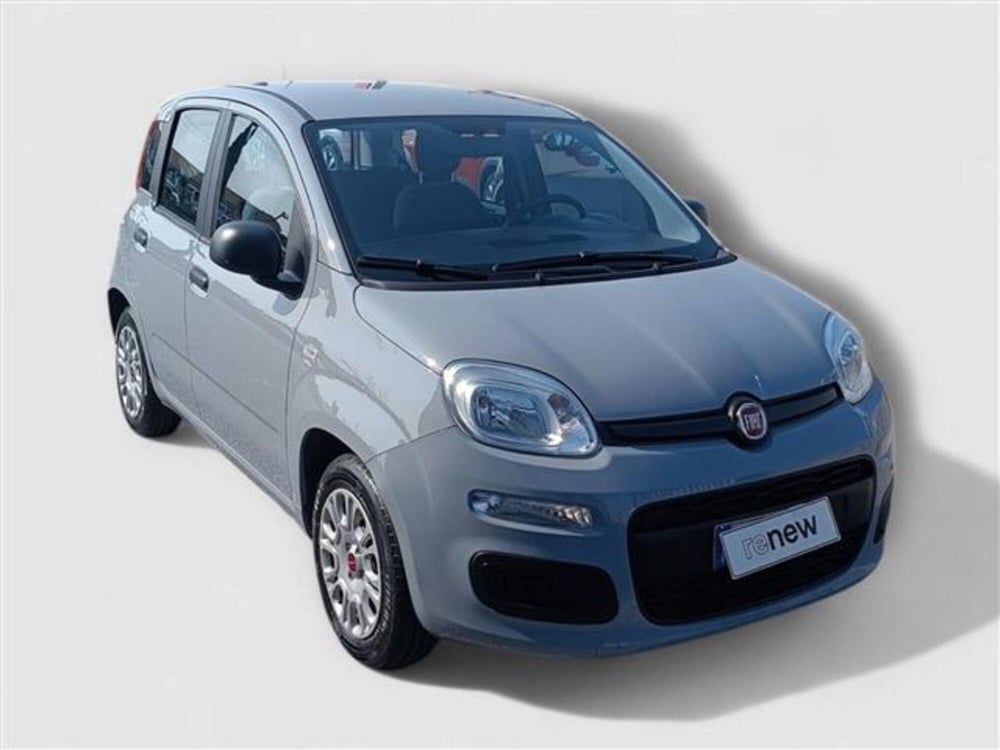 Fiat Panda usata a Livorno (7)