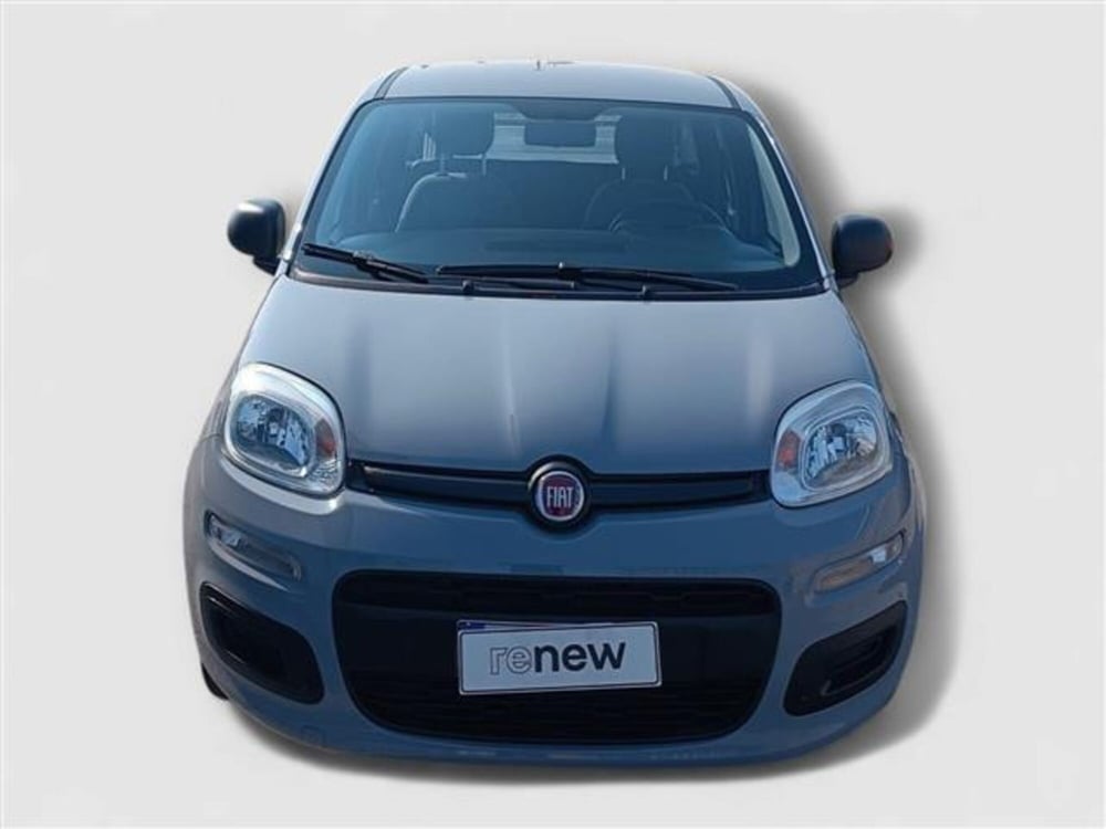 Fiat Panda usata a Livorno (8)