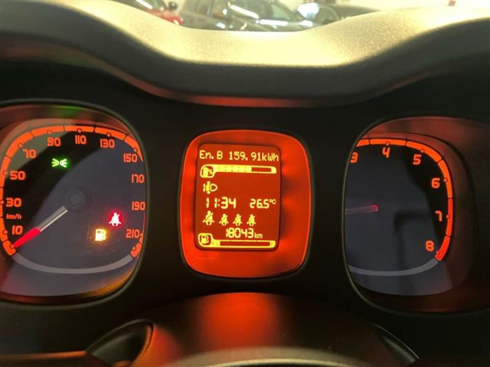 Fiat Panda Cross usata a Como (15)