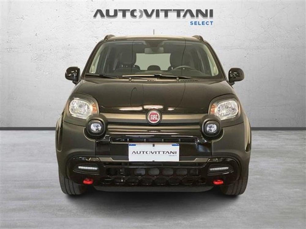 Fiat Panda Cross usata a Como (2)