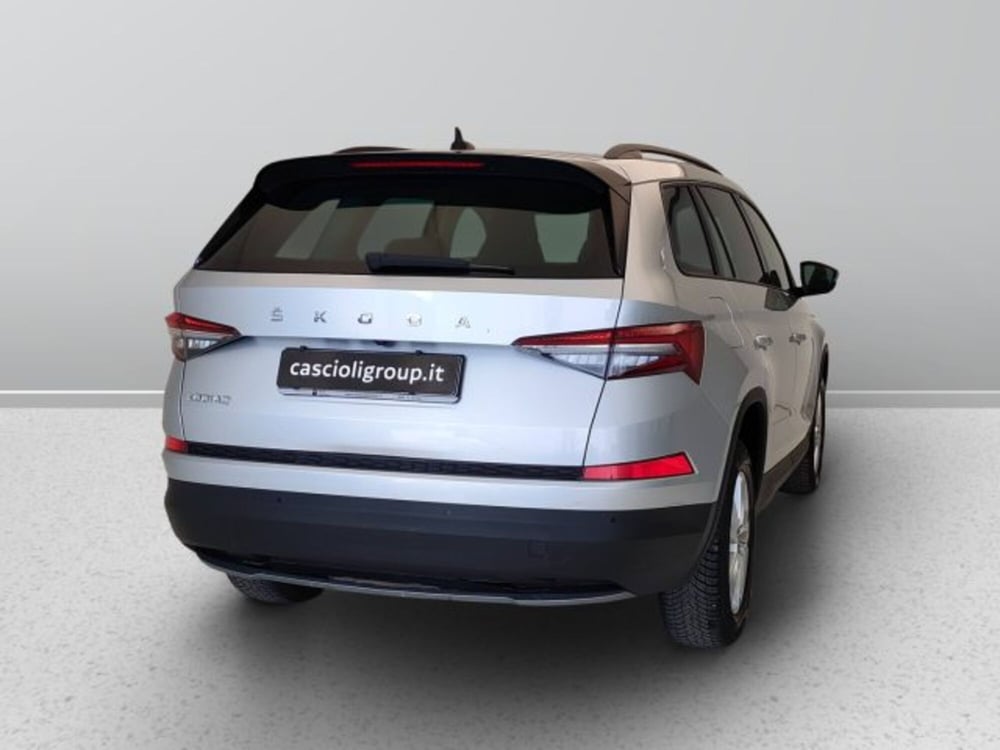 Skoda Kodiaq usata a Teramo (6)
