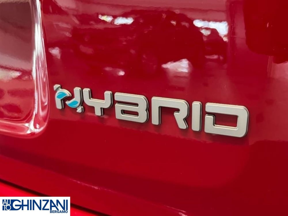 Fiat Panda Cross nuova a Bergamo (12)