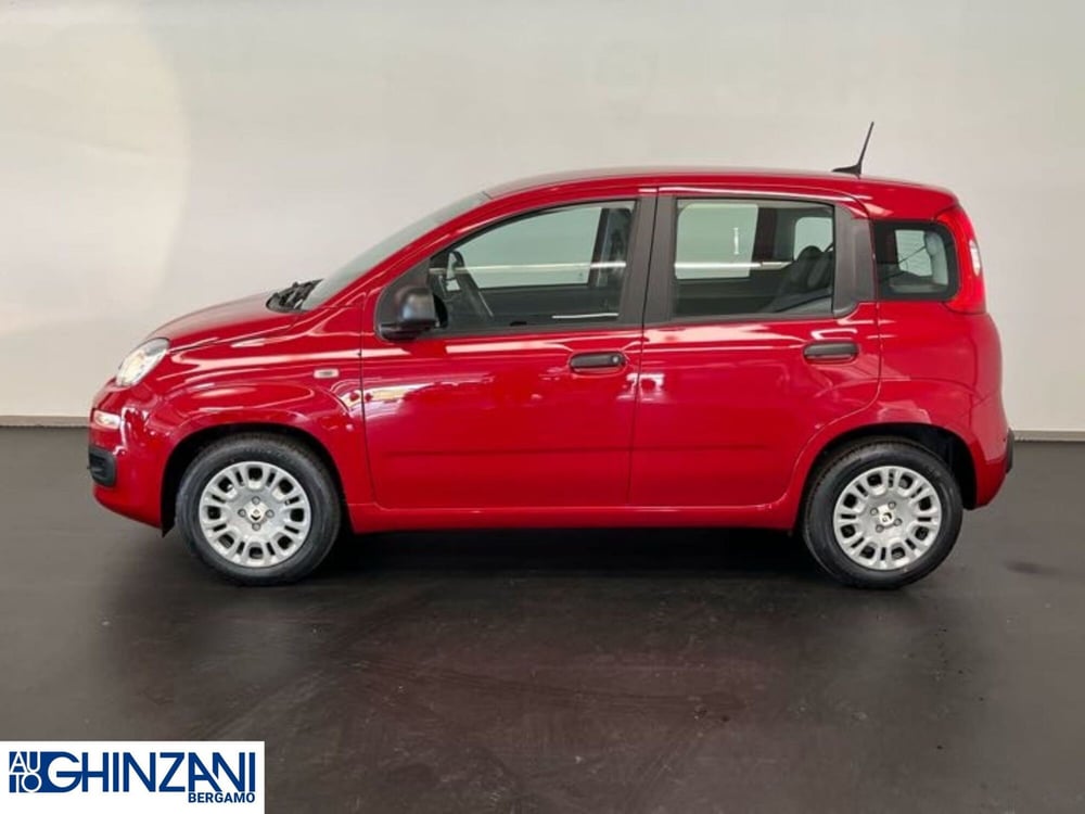 Fiat Panda Cross nuova a Bergamo (4)