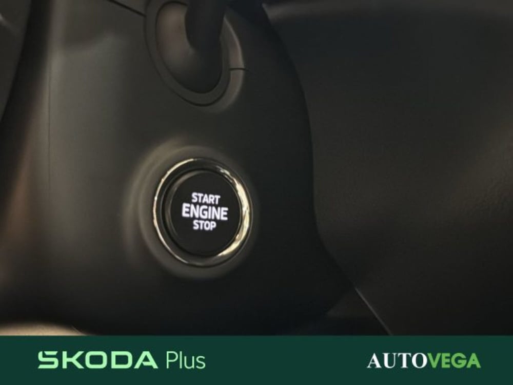 Skoda Kamiq usata a Vicenza (16)