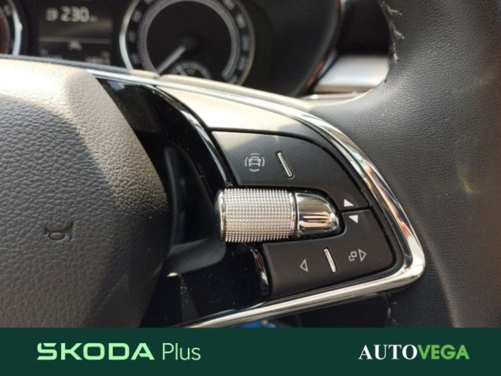 Skoda Fabia usata a Vicenza (10)