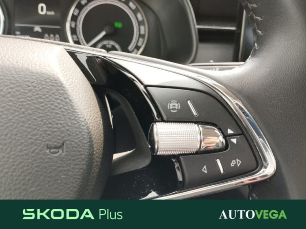 Skoda Kamiq usata a Vicenza (11)