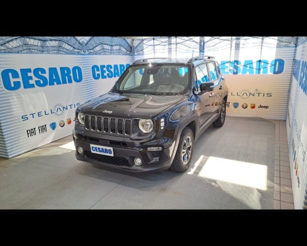Jeep Renegade usata a Aosta (2)