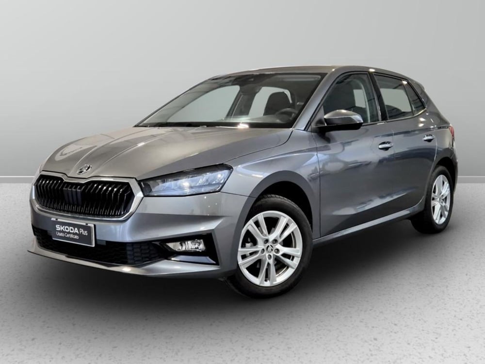 Skoda Fabia usata a Padova