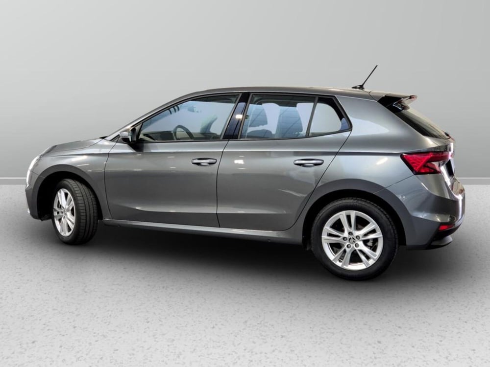 Skoda Fabia usata a Padova (2)