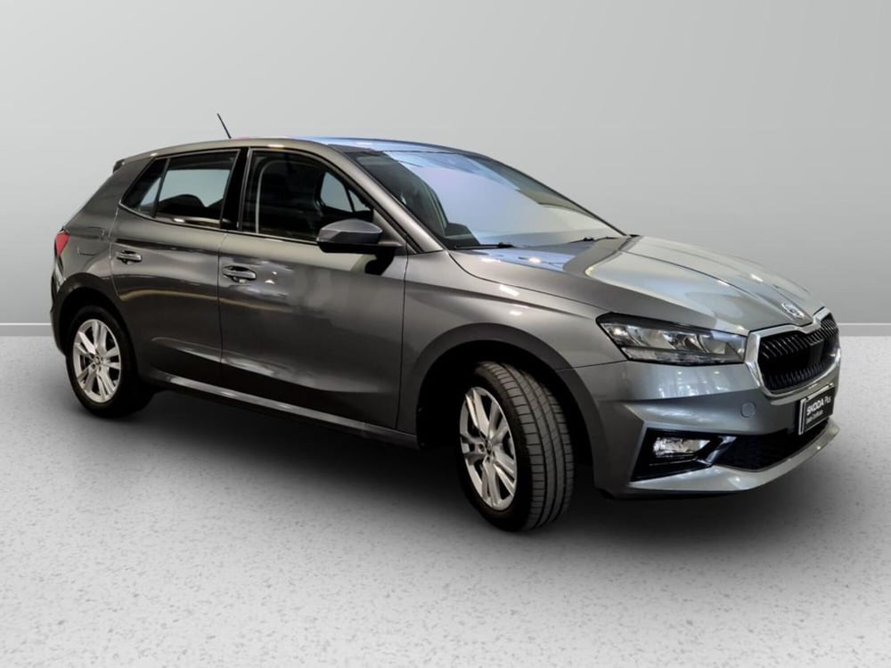 Skoda Fabia usata a Padova (4)