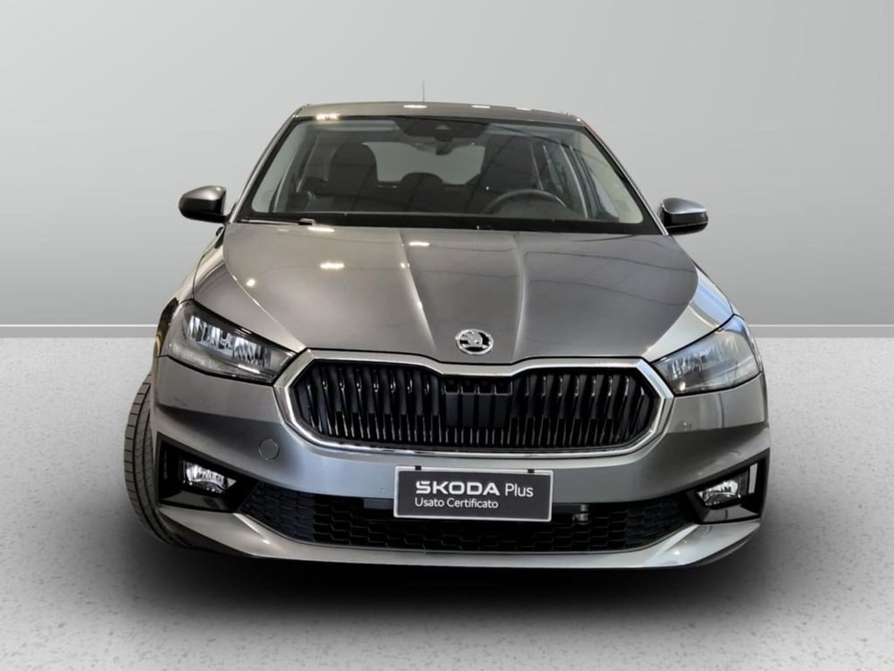 Skoda Fabia usata a Padova (7)