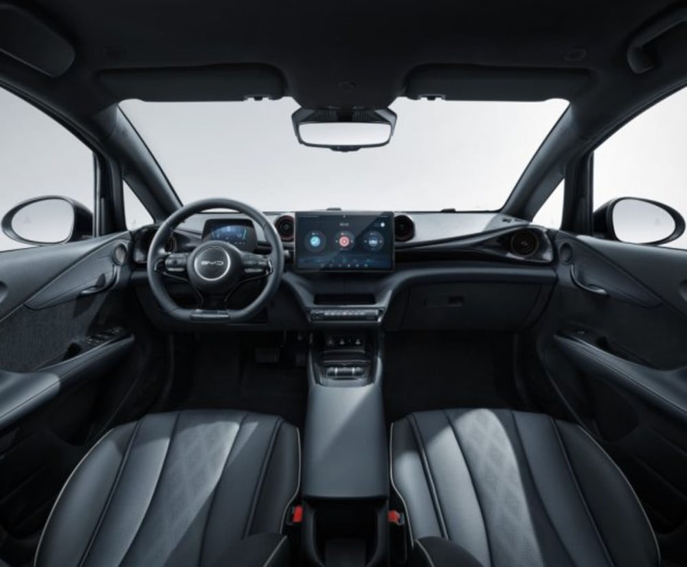 Byd Dolphin Surf nuova a Torino (3)