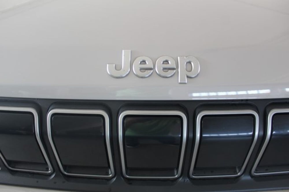 Jeep Avenger usata a Terni (20)