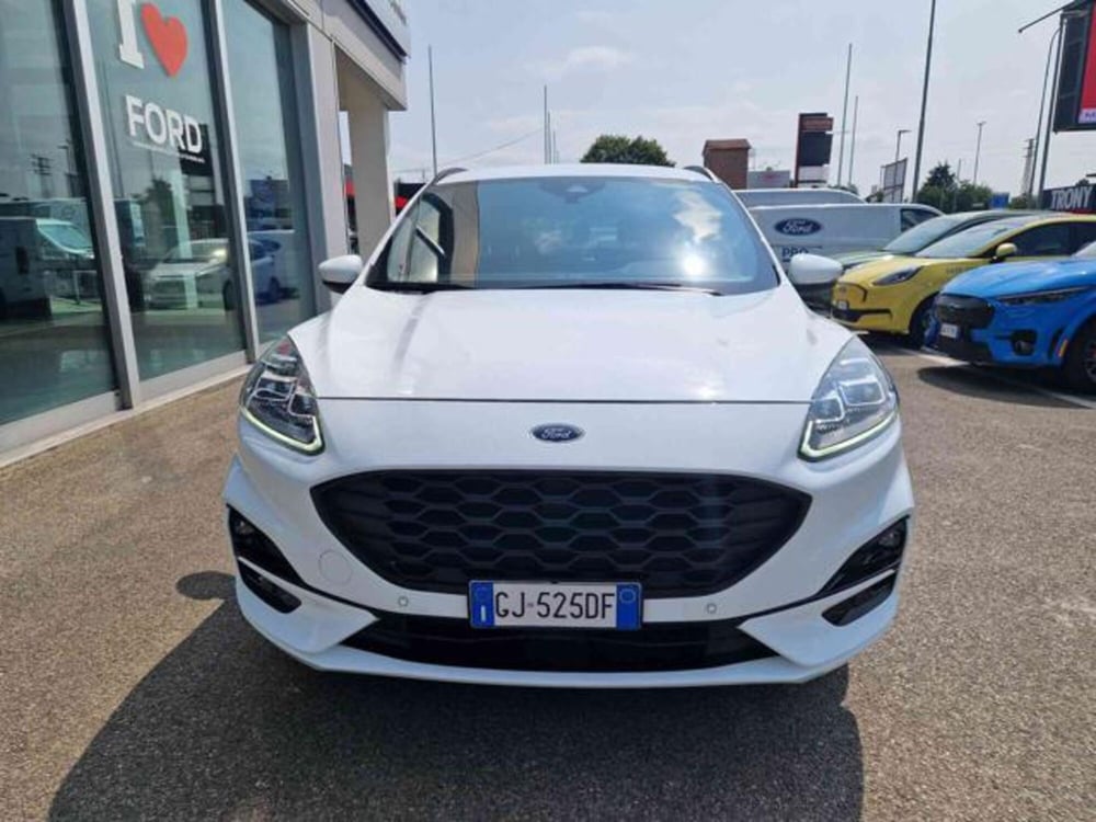 Ford Kuga usata a Bologna (2)