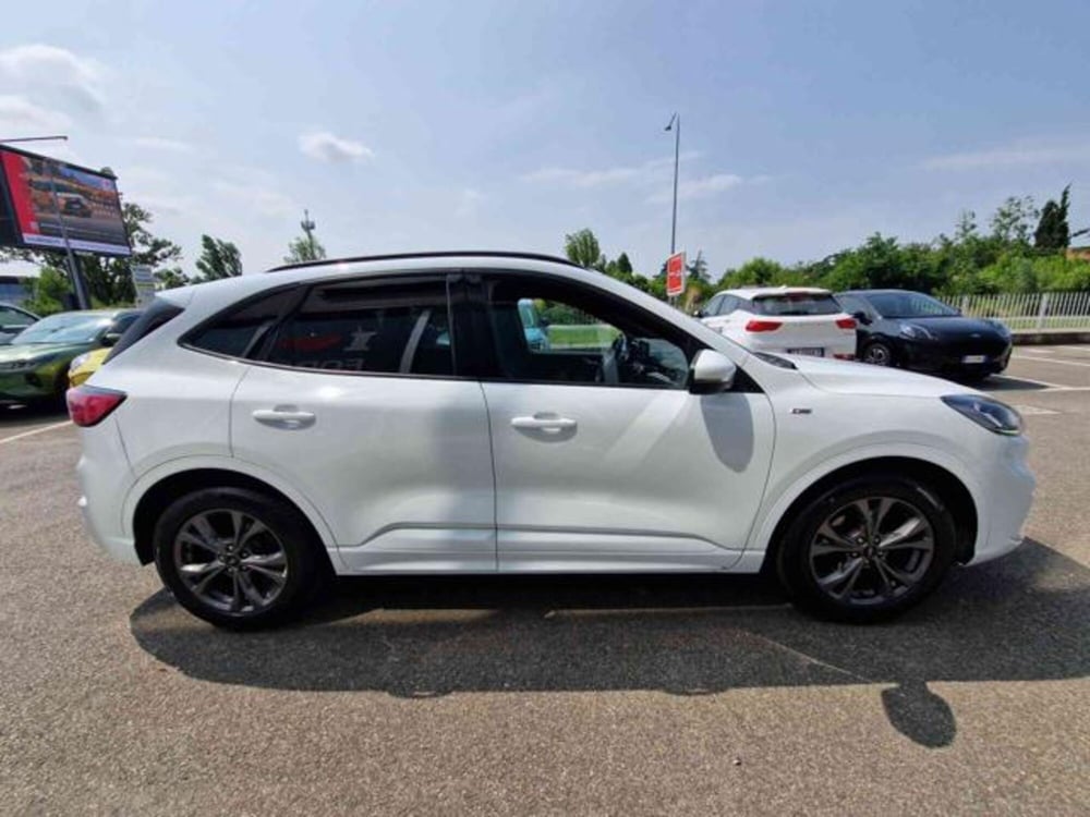 Ford Kuga usata a Bologna (4)