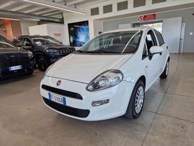 Fiat Punto 1.2 8V 5 porte Young del 2016 usata a Imola