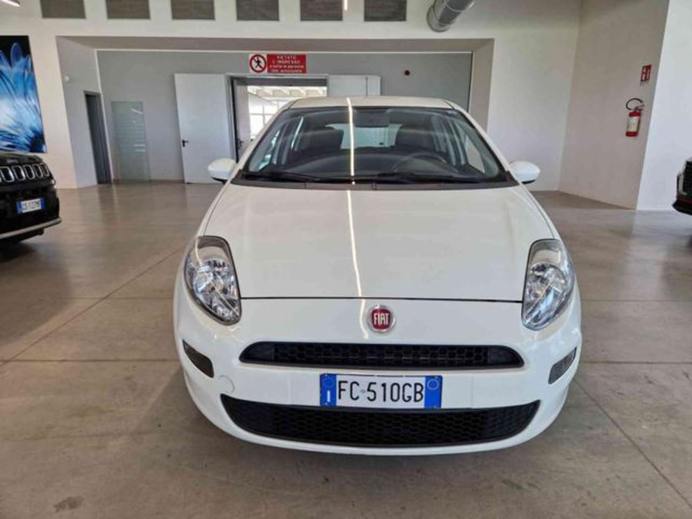 Fiat Punto usata a Bologna (2)