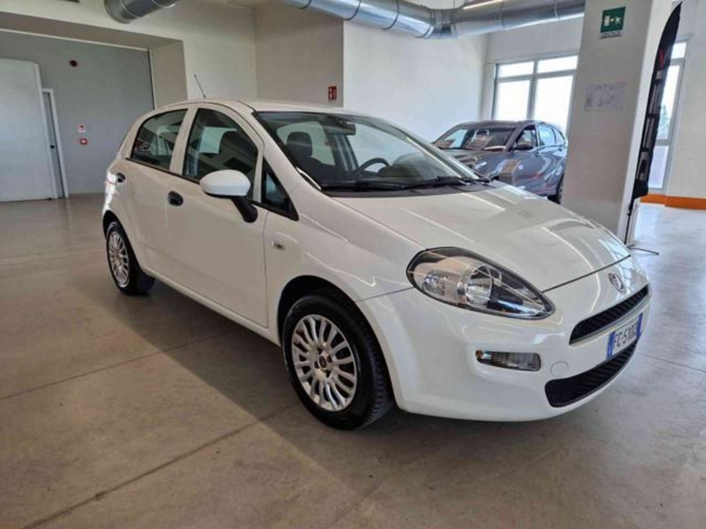 Fiat Punto usata a Bologna (3)