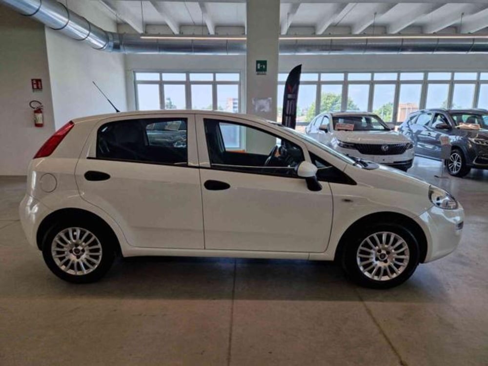 Fiat Punto usata a Bologna (4)