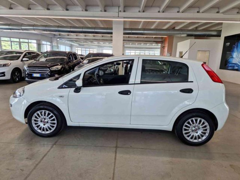 Fiat Punto usata a Bologna (7)