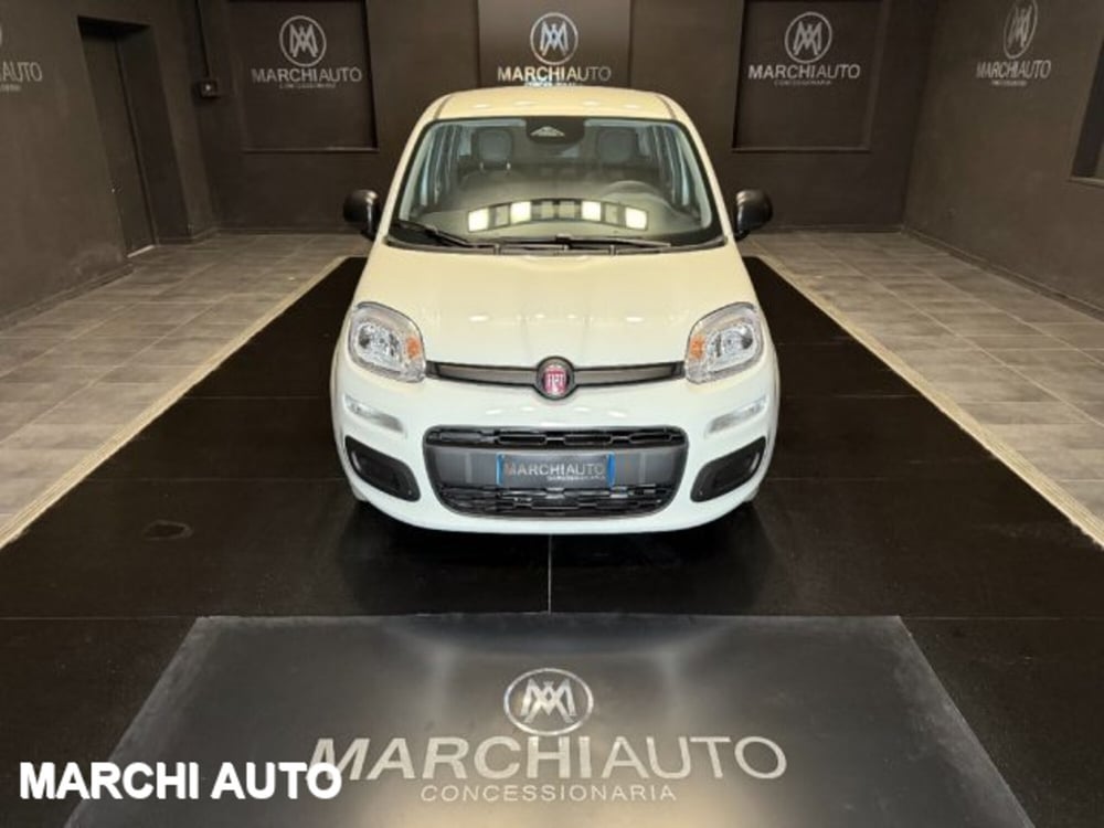 Fiat Panda nuova a Perugia (2)