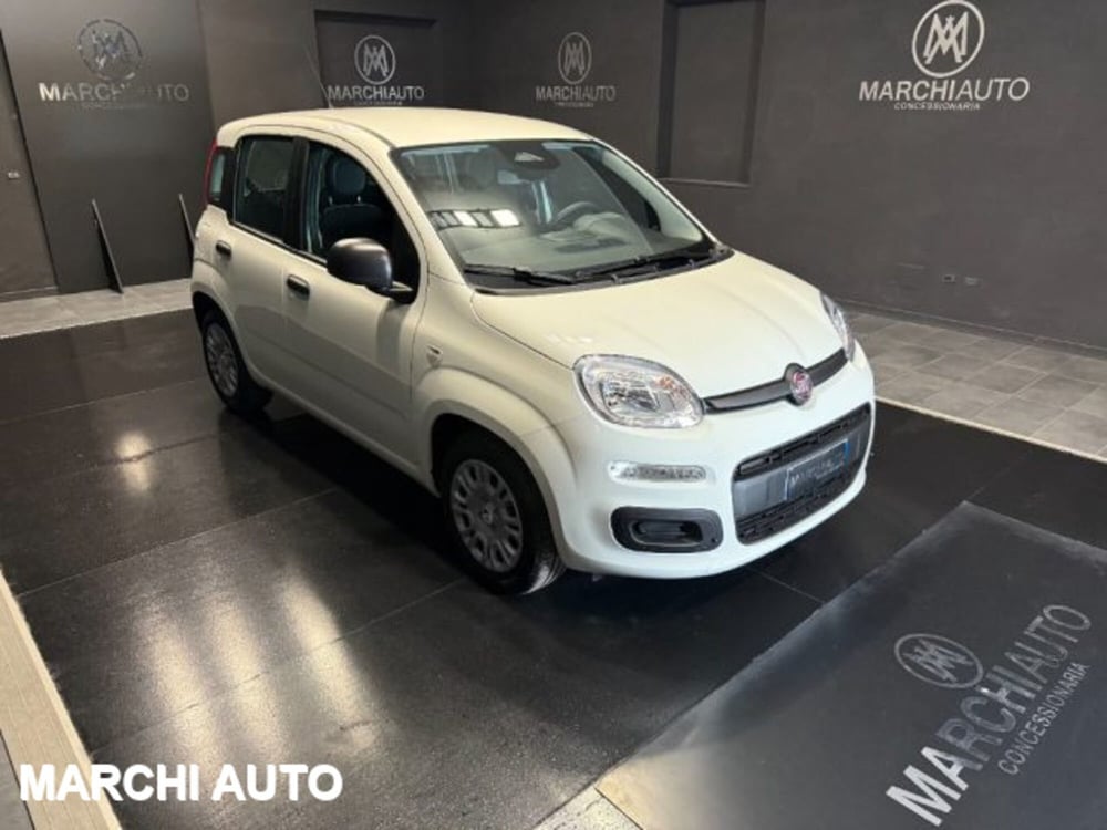 Fiat Panda nuova a Perugia (3)