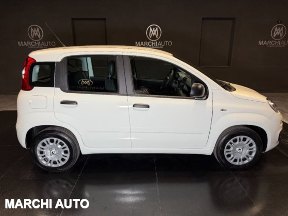 Fiat Panda nuova a Perugia (4)