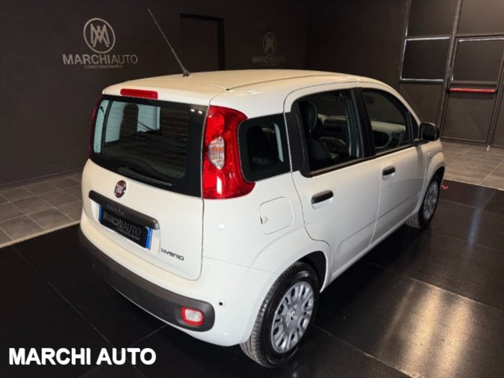 Fiat Panda nuova a Perugia (5)