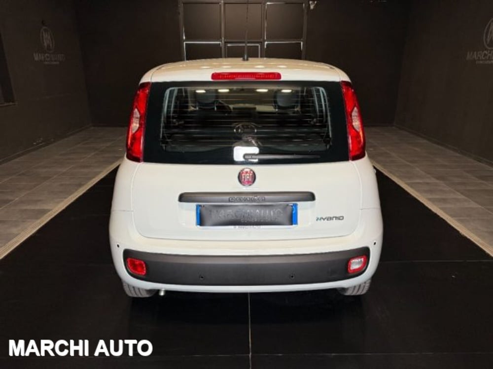 Fiat Panda nuova a Perugia (6)