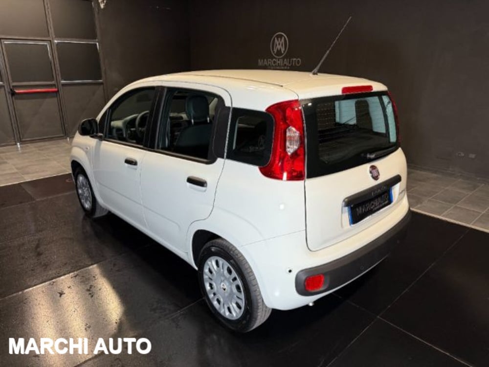 Fiat Panda nuova a Perugia (7)