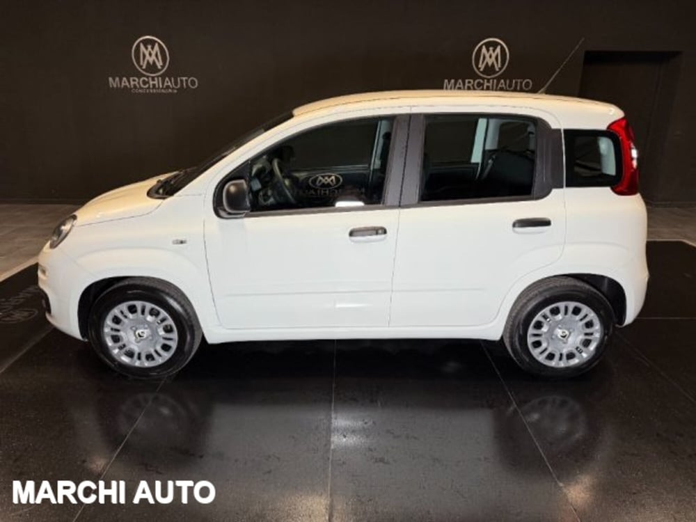 Fiat Panda nuova a Perugia (8)
