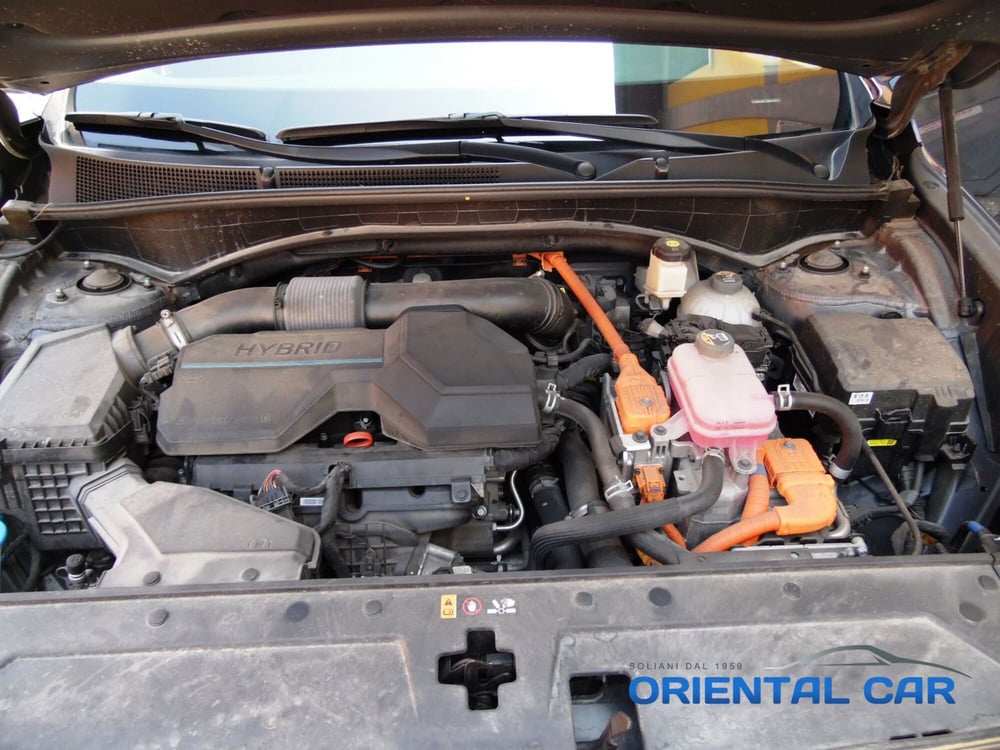 Hyundai Santa Fe usata a La Spezia (15)