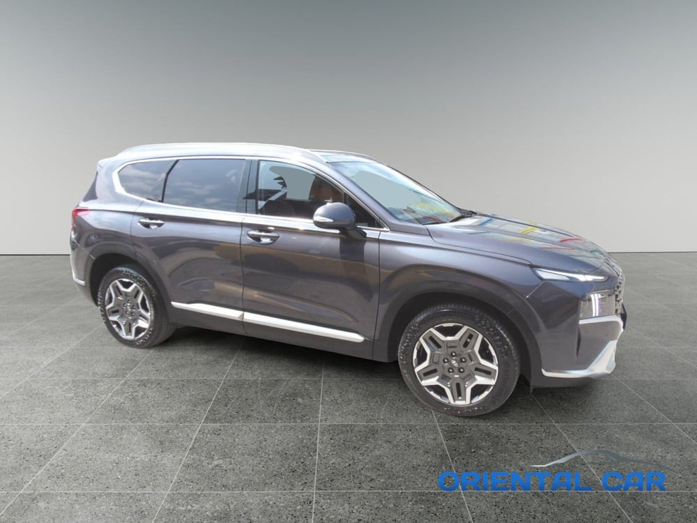 Hyundai Santa Fe usata a La Spezia (3)