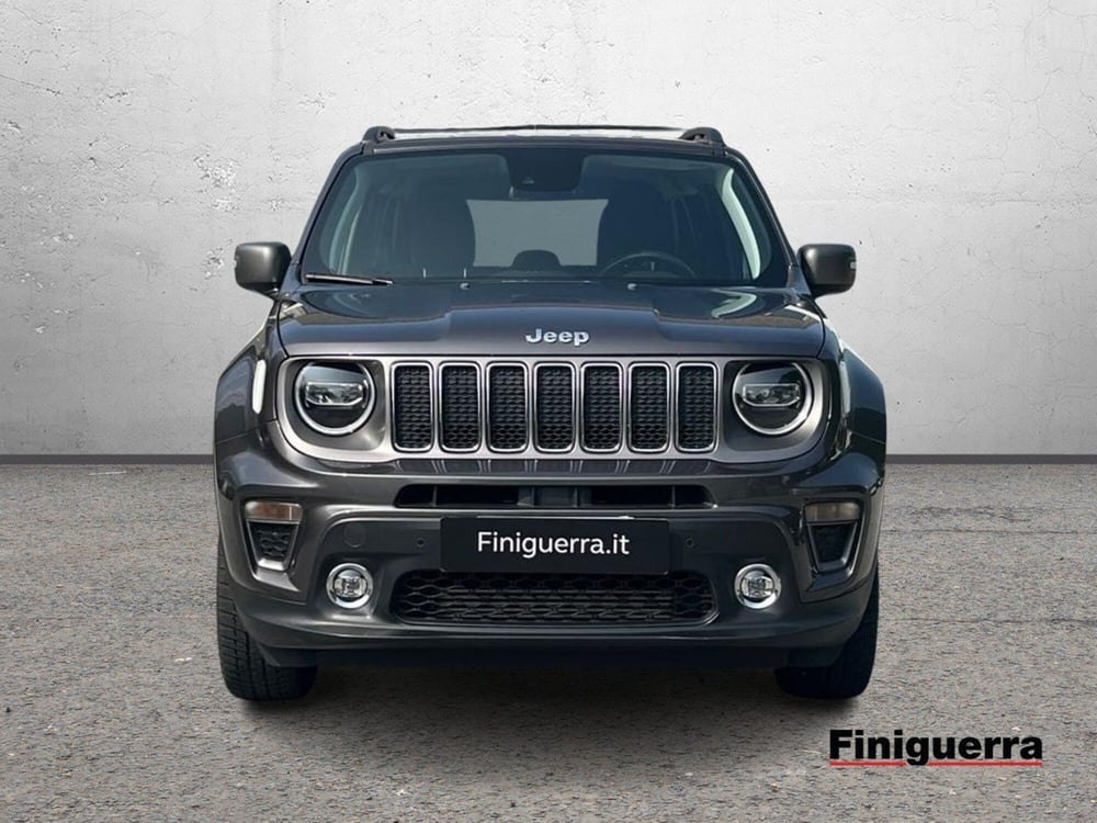 Jeep Renegade usata a Sondrio (2)