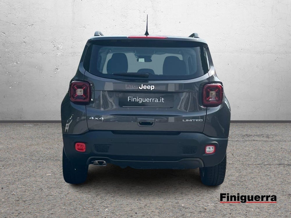 Jeep Renegade usata a Sondrio (3)