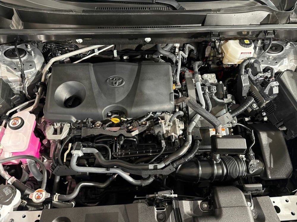 Toyota Rav4 usata a Lecco (17)
