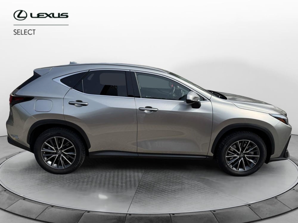 Lexus NX usata a Como (13)