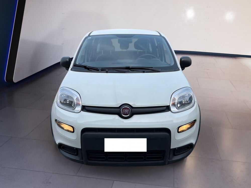 Fiat Panda usata a Torino