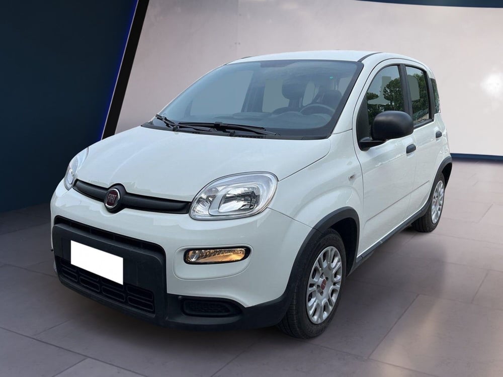 Fiat Panda usata a Torino (2)