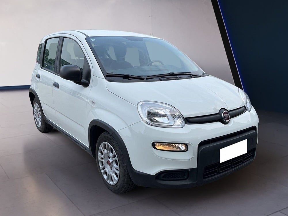 Fiat Panda usata a Torino (3)